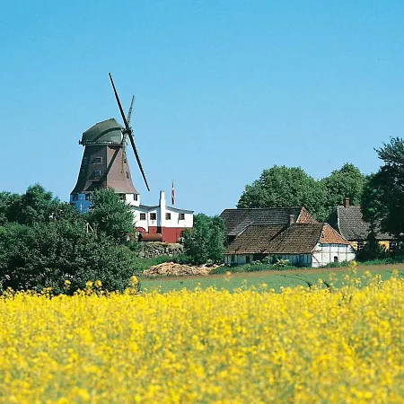 8 Person Holiday On A In * Rudkøbing